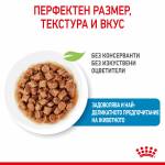 Royal Canin X-Small Puppy Pouch - 85г