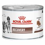 ROYAL CANIN - Recovery , консерва за куче или котка, 195гр