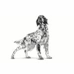 Royal Canin Gastrointestinal Low Fat Mousse Dog 0.420гр.