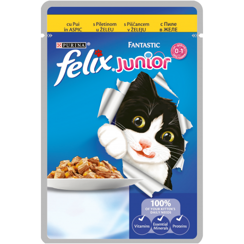 FELIX Fantastic пауч Junior Пиле 100 гр.