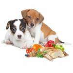 Select MINI PUPPY  Пиле и ориз, чувал от 10кг, цена за чувал 93.00лв. /1кг-9.30лв./
