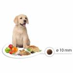 Select PUPPY MEDIUM Пиле с ориз, чувал от 12кг, цена за чувал 99.00лв. /1кг-8.25лв./