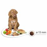Select PUPPY MAXI - Пиле с ориз, чувал от 12кг, цена за чувал 99.00лв. /1кг-8.25лв./