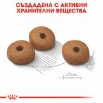 ROYAL CANIN - MINI LIGHT weight care, чувал от 8кг, цена за чувал 126.40лв. /1кг-15.80лв./