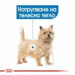 ROYAL CANIN - MINI LIGHT weight care, чувал от 8кг, цена за чувал 126.40лв. /1кг-15.80лв./