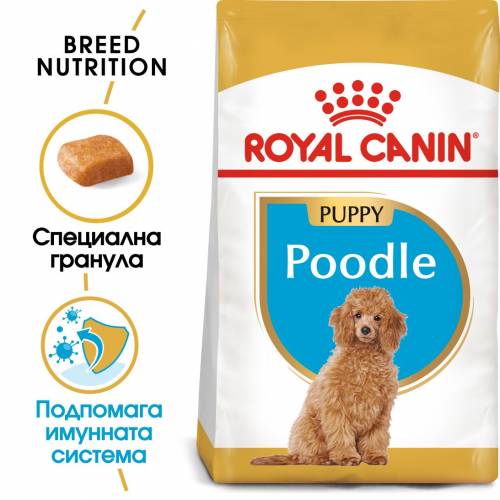 Royal Canin Poodle Puppy - храна за подрастващи кучета порода пудел - до 10 месеца 0.5kg