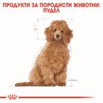 Royal Canin Poodle Puppy - храна за подрастващи кучета порода пудел - до 10 месеца 0.5kg