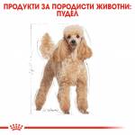 ROYAL CANIN POODLE ADULT Пълноценна суха храна за пудели в зряла възраст над 10 мес.-1.5 кг.