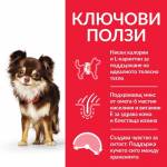 Hills Dog Adult LIGHT Small and Mini 6 kg Пиле /цена на кг./