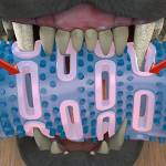 Кокал за почистване на зъби CHEWBRUSH 25 см 