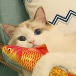 Играчка за котка рибка плюш 19 см 