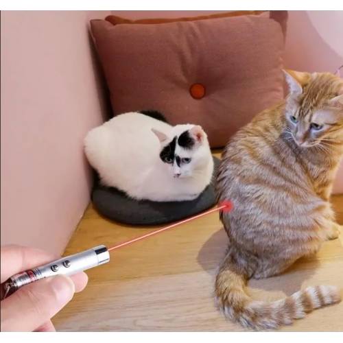 Играчка за котка - LED лазер + фенерче  