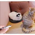 Играчка за котка - LED лазер + фенерче  
