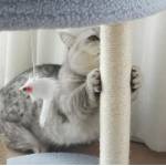 Драскало за коте БАРСЕЛОНА