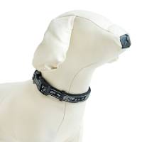 Нашийник от изкуствена лента двойна с пластмасова тока FANCY DOG ЛУКС за куче 