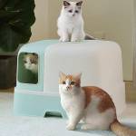 Съд за котешка тоалетна закрит с отвор отстрани, с филтър и лопатка 