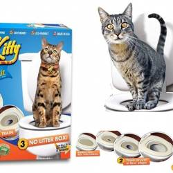 CitiKitty обучение за котка