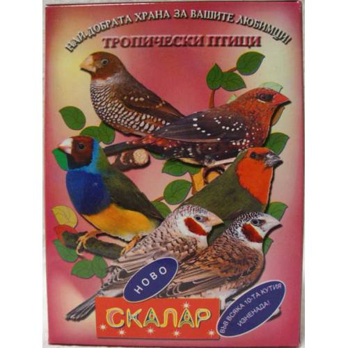 Скалар тропически птици 500гр 