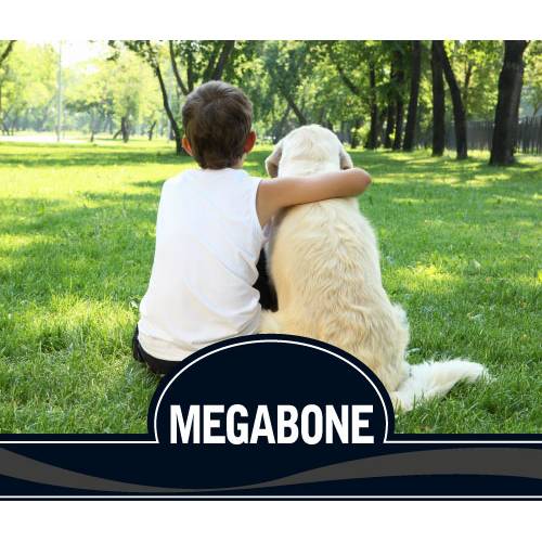 5.PICART  MEGABONE