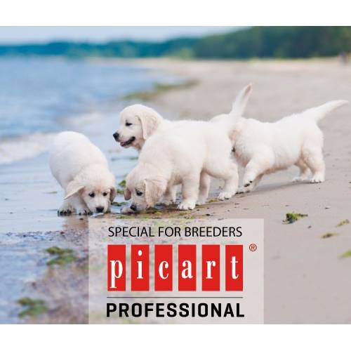 1.PICART PROFESSIONAL 