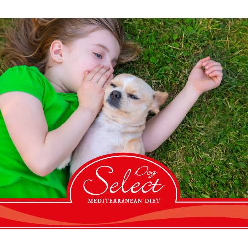 3.PICART SELECT