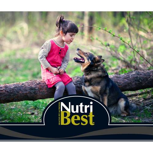4.PICART NUTRIBEST